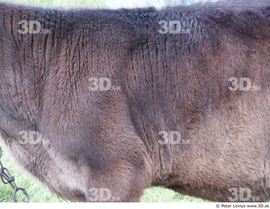 Upper Body Calf