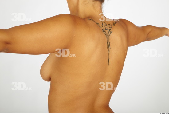 Upper Body Whole Body Woman Tattoo Nude Chubby Studio photo references