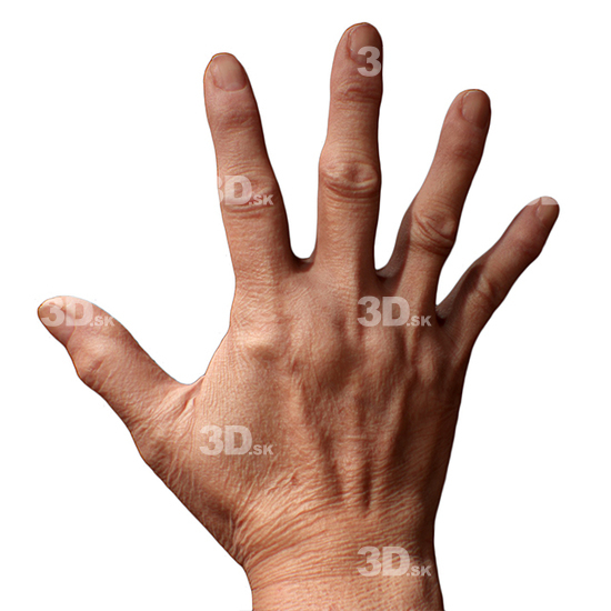 Hand Woman Asian 3D Retopologised Hands