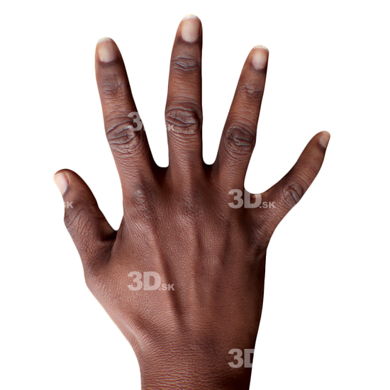 Hand Woman Black 3D Retopologised Hands