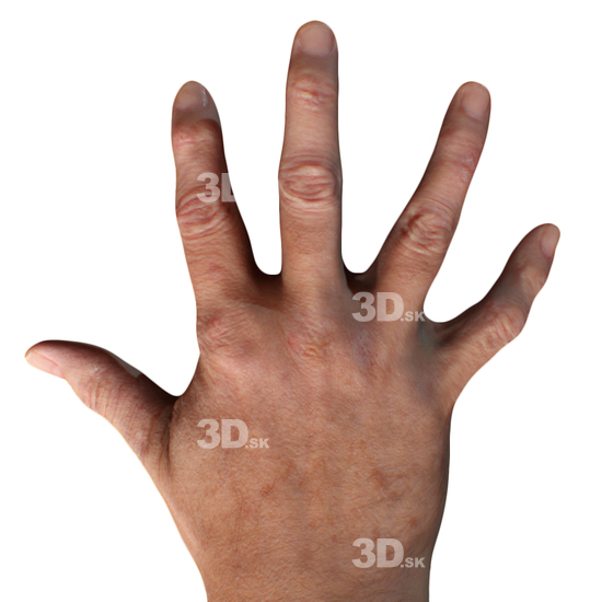 Hand Man White 3D Retopologised Hands