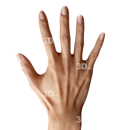 Hand Woman Asian 3D Retopologised Hands