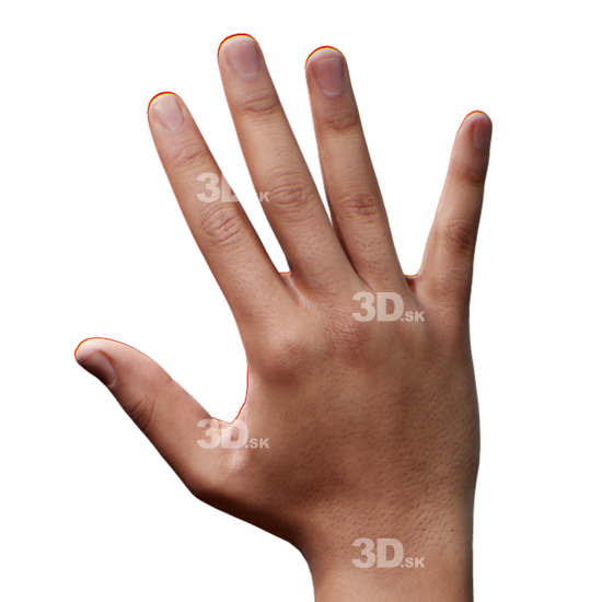 Hand 3D Retopologised Hands