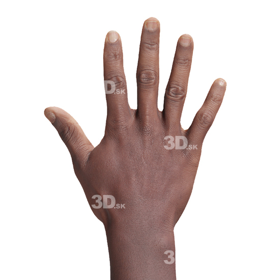 Hand Black 3D Retopologised Hands