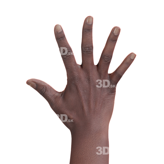 Hand 3D Retopologised Hands