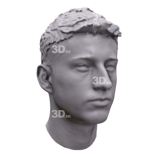Man White 3D Artec Heads