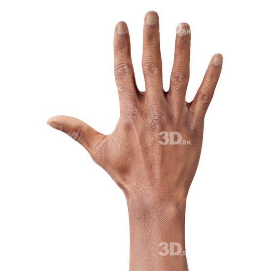 Hand Man Black 3D Retopologised Hands