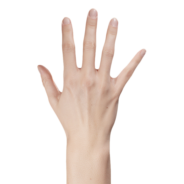 Hand Woman White 3D Retopologised Hands