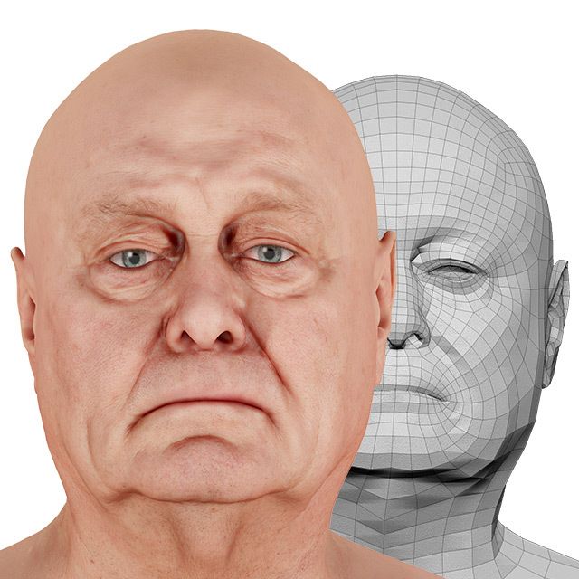 Head Man White Bald 3D Retopologised Heads