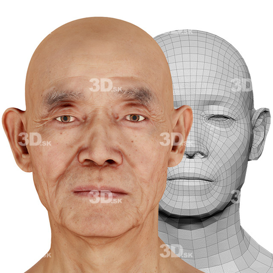 Head Man Asian Bald 3D Retopologised Heads