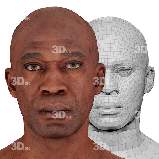 Head Man Black Bald 3D Retopologised Heads