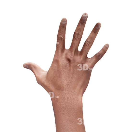 Hand Man Black 3D Retopologised Hands