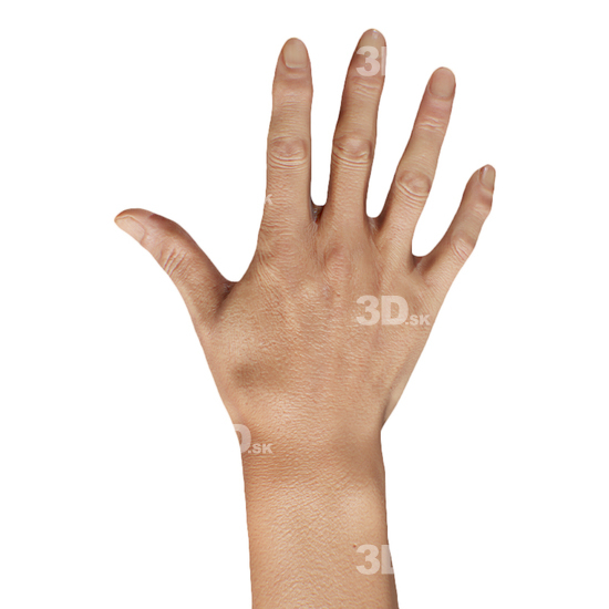 Hand Man Asian 3D Retopologised Hands
