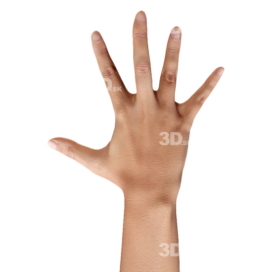 Hand Woman 3D Retopologised Hands Hispanic