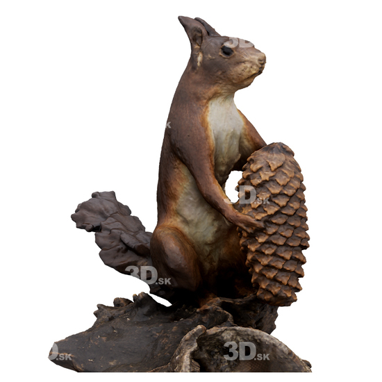 Squirrel 3D Scans