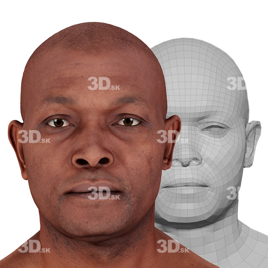 3D Retopologised Heads