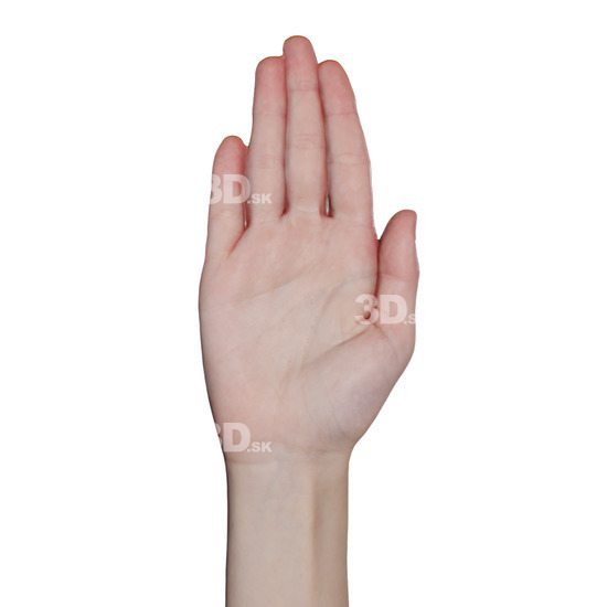 Hand Woman White 3D Raw Hand Scans