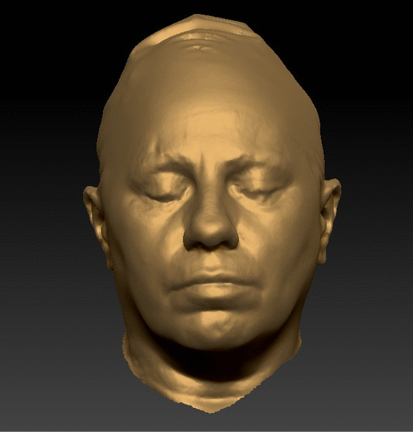 Head Woman White Overweight 3D Scans