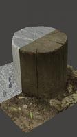 Stump Wood Base Enviroment Scan