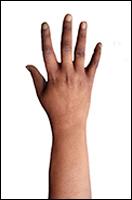 Rosemary Retopo Hand Scan