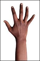 Retopologized 3D Hand scan Metrine African female