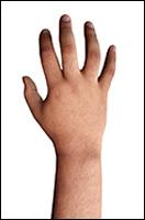 Raphael Retopo Hand Scan
