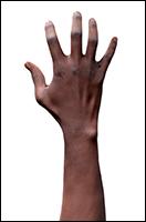 Aduba African male Retopologized 3D Hand scan 