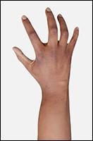 Retopologized 3D Hand scan Aduba African female