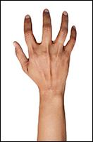 Retopologized 3D Hand scan Fernandes Indian female