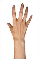 Retopologized 3D Hand scan Hakobyan Armenian female