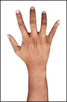Retopologized 3D Hand scan Helmi Arabian male