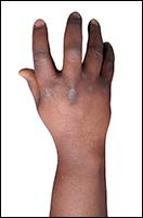 Igbinovia Retopo Hand Scan