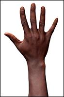 Retopologized 3D Hand scan Fimbar African male