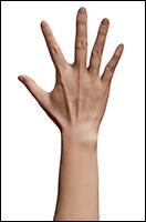 Retopologized 3D Hand scan Dinhova Asian female