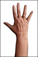 Retopologized 3D Hand scan Dana European female