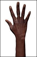 Retopologized 3D Hand scan Abina African female 