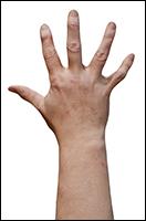 Retopologized 3D Hand scan Ethan Lawson European male