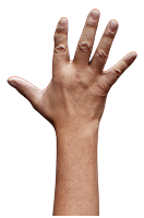 Abdul Gyrot Retopo Hand Scan