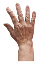 Retopologized 3D Hand scan Aimee Morgan European female