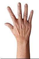 Retopologized 3D Hand scan Kaga Sumi Asian female