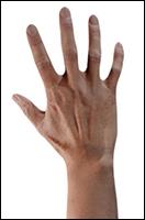 Retopologized 3D Hand scan Kobashigawa Tsuneo Asian male