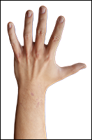 Reece Griffiths Retopo Hand Scan