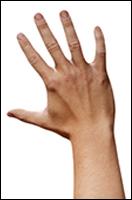 Reece Griffiths Retopo Hand Scan