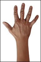 Reece Burke Retopo Hand Scan