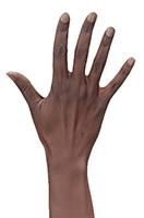 Retopologized 3D Hand scan Bshara Henry Black female