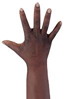 Retopologized 3D Hand scan Jafaris Simon Black male