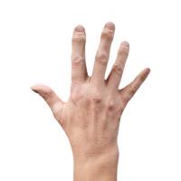 Riley Evans Retopo Hand Scan