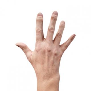 Riley Evans Retopo Hand Scan