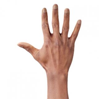 Retopologized 3D Hand scan Orien Morgan Black male