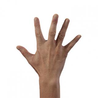 Retopologized 3D Hand scan of Takemoto Junzo Asian male